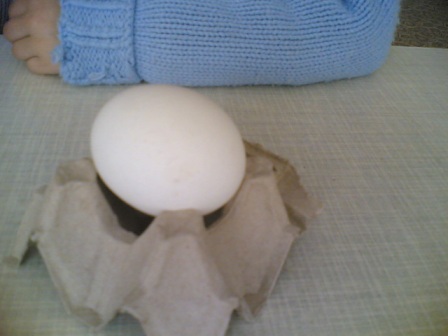 ��� ����